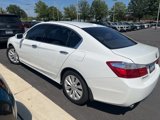 Used 2014 Honda Accord EX-L image 4