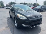 Used 2013 Ford Escape SE image 4