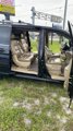 Used 2009 Honda Odyssey Touring image 6