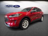 Used 2022 Ford Escape SE w/ Convenience Package image 2