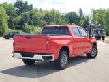 Used 2019 Chevrolet Silverado 1500 LT w/ All-Star Edition image 3