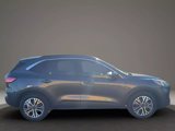 Used 2020 Ford Escape SEL image 6
