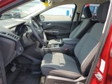 Used 2019 Ford Escape SE image 5