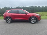 Certified 2020 Ford Escape SEL image 2