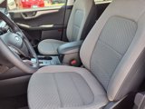 Used 2022 Ford Escape SE w/ SE Sport Appearance Package image 3