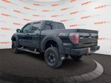Used 2013 Ford F150 FX4 image 3