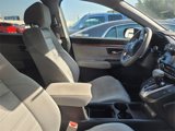 Used 2020 Honda CR-V EX image 3