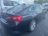 Used 2023 Chevrolet Malibu LT image 5