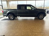 Used 2015 Ford F150 XLT w/ Equipment Group 302A Luxury image 4
