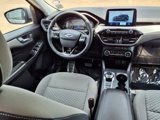 Used 2021 Ford Escape SE w/ SE Sport Appearance Package image 4