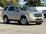 Used 2010 Ford Escape XLT image 2