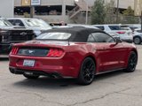 Used 2019 Ford Mustang Convertible w/ Ecoboost Performance Package image 5