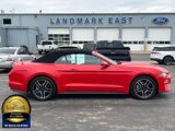 Used 2022 Ford Mustang Premium image 2