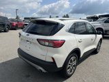 Used 2022 Ford Escape SEL image 3