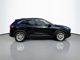 Used 2020 Ford Escape SE image 5
