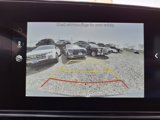 New 2025 Hyundai Elantra SEL image 6