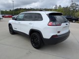 Used 2023 Jeep Cherokee Altitude Lux image 6