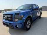 Used 2014 Ford F150 FX4 image 2