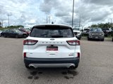 Used 2020 Ford Escape SE image 4
