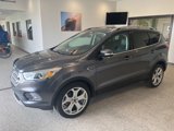 Used 2019 Ford Escape Titanium image 3