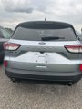 Used 2022 Ford Escape SE w/ SE Sport Appearance Package image 5