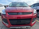 Used 2015 Ford Escape Titanium image 5