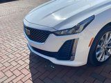 Used 2023 Cadillac CT5 Luxury image 2