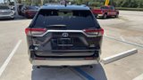 Used 2019 Toyota RAV4 XSE image 5