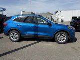 Used 2020 Ford Escape SE image 4