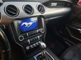 Used 2019 Ford Mustang Premium image 4