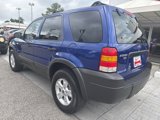 Used 2006 Ford Escape XLT image 3