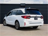 Used 2025 Honda Odyssey EX-L image 3