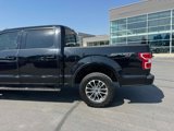 Certified 2019 Ford F150 XLT w/ Equipment Group 302A Luxury image 4