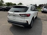 Used 2022 Ford Escape SEL image 5