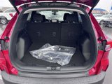 New 2025 Ford Escape Active w/ Tech Pack #1 image 6