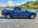 New 2024 Ford F150 XLT w/ Mobile Office Package image 6