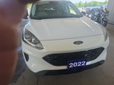 Certified 2022 Ford Escape SE w/ SE Sport Appearance Package image 2