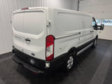 Used 2019 Ford Transit 250 130 Low Roof image 4