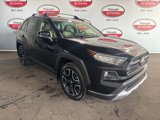 Used 2019 Toyota RAV4 Adventure image 3