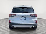 Used 2021 Ford Escape SE w/ Cold Weather Package image 6