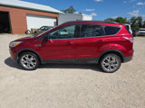Used 2014 Ford Escape SE w/ Equipment Group 201A image 5