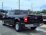 Used 2019 Ford F150 XLT image 5