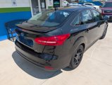 Used 2015 Ford Focus SE w/ Equipment Group 201A image 4