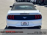 Used 2022 Ford Mustang Premium image 6
