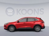 Used 2024 Ford Escape Active image 2