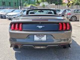 Used 2015 Ford Mustang Convertible image 5