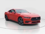 Used 2024 Ford Mustang Premium image 2