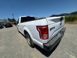 Used 2017 Ford F150 XL w/ Equipment Group 101A Mid image 6