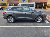 Used 2020 Ford Escape SE image 2
