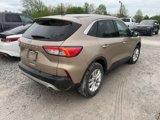 Used 2021 Ford Escape SE image 3